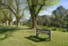 6132 Great Alpine Road, Eurobin, Vic 3739-Image