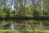 6132 Great Alpine Road, Eurobin, Vic 3739-Image
