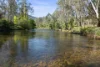 6132 Great Alpine Road, Eurobin, Vic 3739-Image