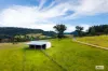 616 New Buildings Road, Wyndham, NSW 2550-Image