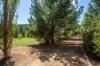 618 New Buildings Road, Wyndham, NSW 2550-Image