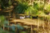 618 Upper Brookfield Road, Upper Brookfield, Qld 4069-Image