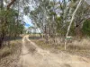 619 Old Bundarra Road, Inverell, NSW 2360-Image
