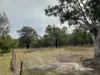 619 Old Bundarra Road, Inverell, NSW 2360-Image