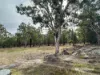 619 Old Bundarra Road, Inverell, NSW 2360-Image