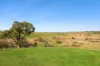 619 Woodville Road, Binda, NSW 2583-Image