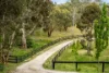 61A River Road, Hahndorf, SA 5245-Image