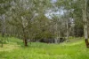 61A River Road, Hahndorf, SA 5245-Image