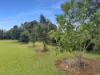 62 Jessica Road, Peeramon, Qld 4885-Image