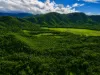 62 Old Forest Creek Road, Forest Creek, Qld 4873-Image