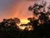 62 Old Forest Creek Road, Forest Creek, Qld 4873-Image