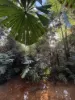 62 Old Forest Creek Road, Forest Creek, Qld 4873-Image