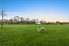 62 Railway Road, Tyabb, Vic 3913-Image
