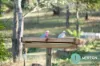 62 Reid Road, Widgee, Qld 4570-Image