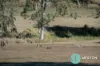 62 Reid Road, Widgee, Qld 4570-Image