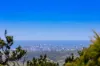 620 Trees Road, Tallebudgera, Qld 4228-Image