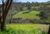 620B Springs Road, Mount Barker Springs, SA 5251-Image
