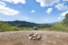 621 Middle Creek Road, Sarina, Qld 4737-Image