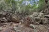 621 Middle Creek Road, Sarina, Qld 4737-Image