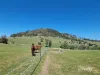 628 Fingerpost Road, Orielton, Tas 7172