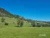 628 Fingerpost Road, Orielton, Tas 7172-Image