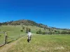 628 Fingerpost Road, Orielton, Tas 7172-Image