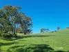 628 Fingerpost Road, Orielton, Tas 7172-Image