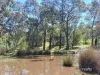 628 Fingerpost Road, Orielton, Tas 7172-Image