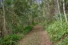 63 Gattera Road, Landsborough, Qld 4550-Image