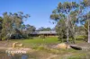 6361 Holbrook Road, Gelston Park, NSW 2650-Image