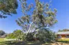6361 Holbrook Road, Gelston Park, NSW 2650-Image