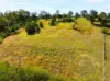64 Koree Island Road, Beechwood, NSW 2446-Image