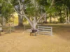 640 Old Dyraaba Road, Woodview, NSW 2470-Image