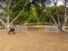 640 Old Dyraaba Road, Woodview, NSW 2470-Image