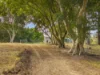 640 Old Dyraaba Road, Woodview, NSW 2470-Image