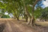 640 Old Dyraaba Road, Woodview, NSW 2470-Image