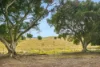 640 Old Dyraaba Road, Woodview, NSW 2470-Image