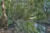642 Nambour Mapleton Road, Kureelpa, Qld 4560-Image