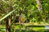 648 Cherry Gardens Road, Cherry Gardens, SA 5157-Image