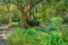 648 Cherry Gardens Road, Cherry Gardens, SA 5157-Image