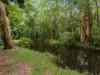 649 Evans Road, Bramston Beach, Qld 4871-Image