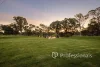 6491B Sturt Highway, Trentham Cliffs, NSW 2738-Image