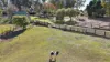 65 Logans Crossing Road, Kendall, NSW 2439