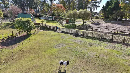 65 Logans Crossing Road, Kendall, NSW 2439