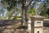 65 Maitland Vale Road, Bolwarra Heights, NSW 2320-Image