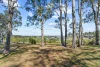 65 Maitland Vale Road, Bolwarra Heights, NSW 2320-Image