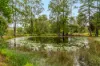 655 Naughtons Gap Road, Naughtons Gap, NSW 2470-Image