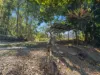 66-68 Vico Street, Gordonvale, Qld 4865-Image