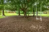 66 Parragilga Lane, D'Aguilar, Qld 4514-Image