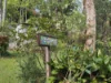 66 Rowsells Road, Korora, NSW 2450-Image